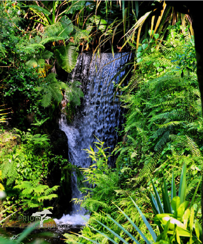 Masoala-Madagaskar-Wasserfall-PRIORI-Reisen