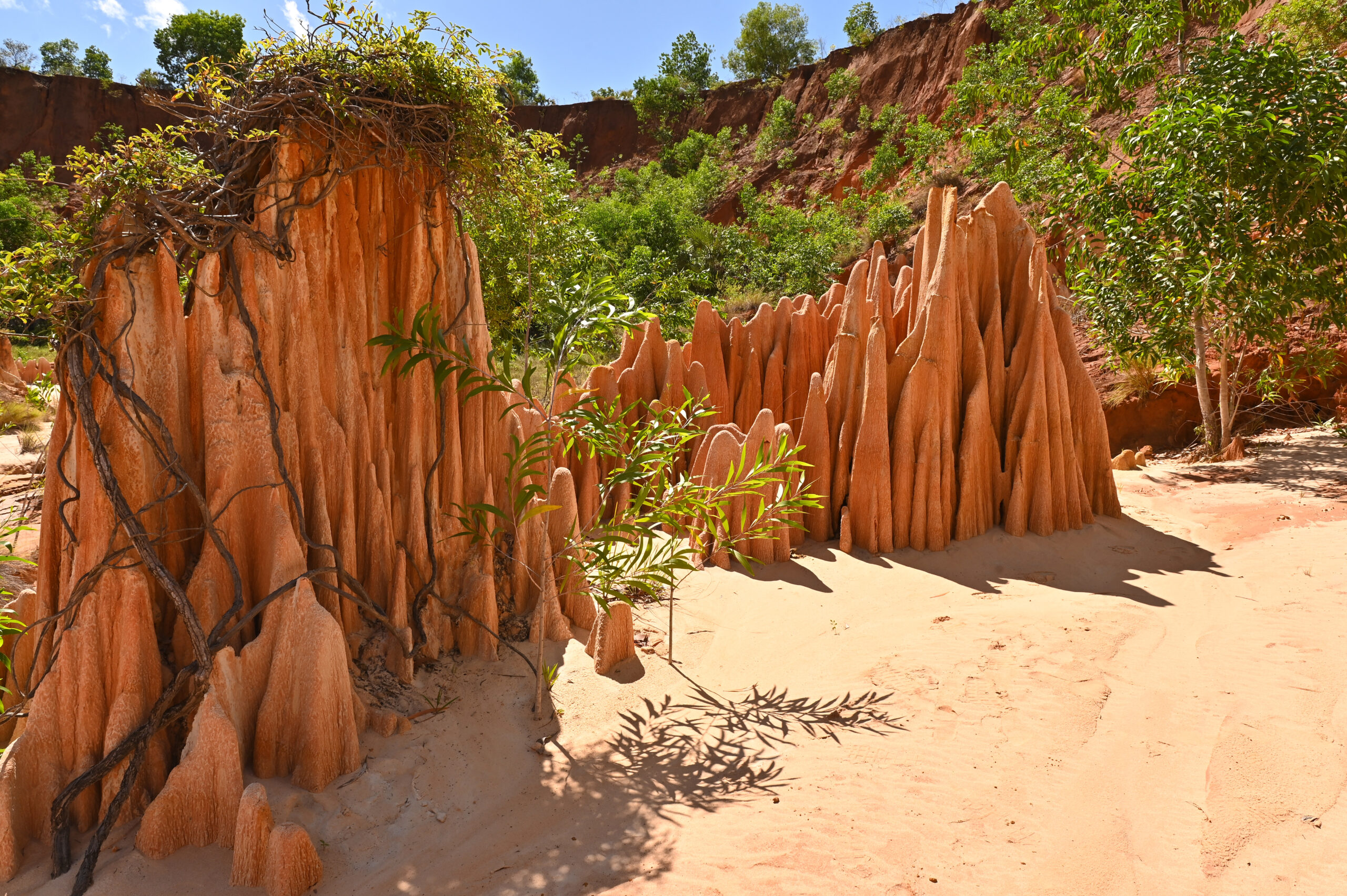 Red Tsingy – Tsingy Rouge – near Diego Suarez, Madagascar