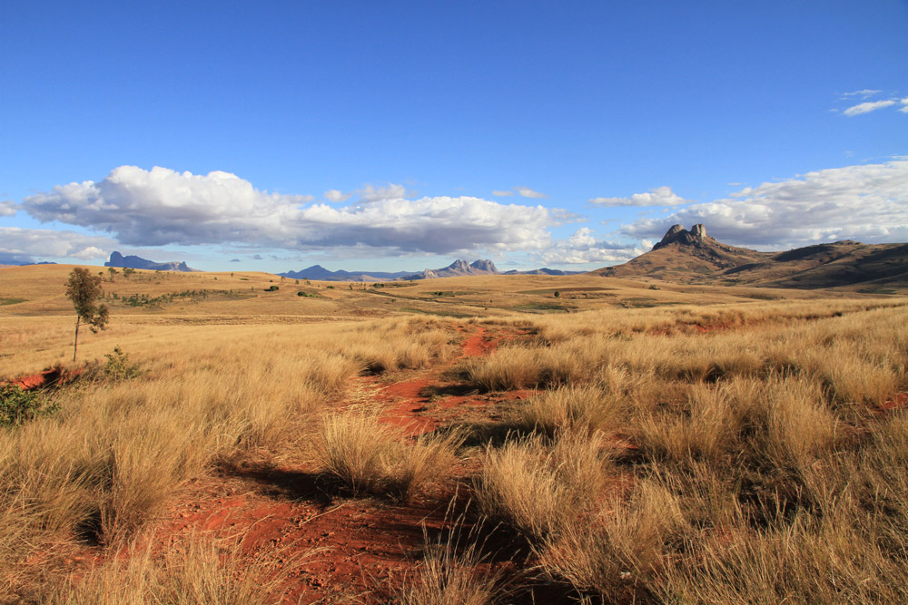 Madagaskar_hochland_sueden